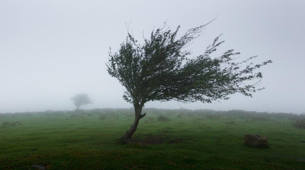 Wind Gust Measurement With Lufft Ventus And V200A OTT Blog